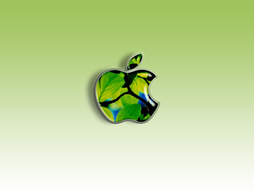 384559 (a): :1024x768